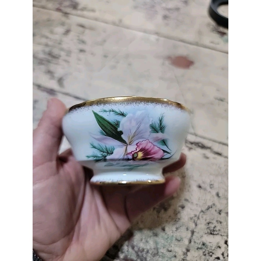 Paragon Majesty Queen China Orchid On Pale Pink Background Open Cup  Sugar Bowl